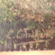 Ale nd de bayeux, signed c. constant, 14 calvados, hst painting