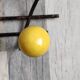 Vintage ball coat rack / colorful hook