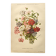 Gravure ancienne de 1899 de Élisa Champin -Verveine- Planche de fleurs
