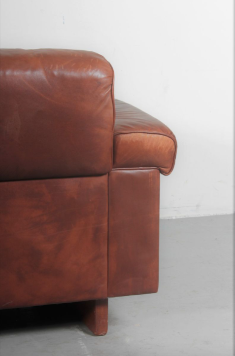 Canapé DSP2 par Robert Haussmann pour de Sede 1970