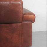 Sofa DSP2 by Robert Haussmann for de Sede 1970