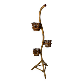 Rattan snake plant holder