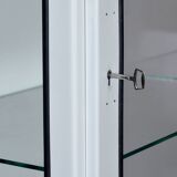 Restored vintage iron and glass medical cabinet, 1970s