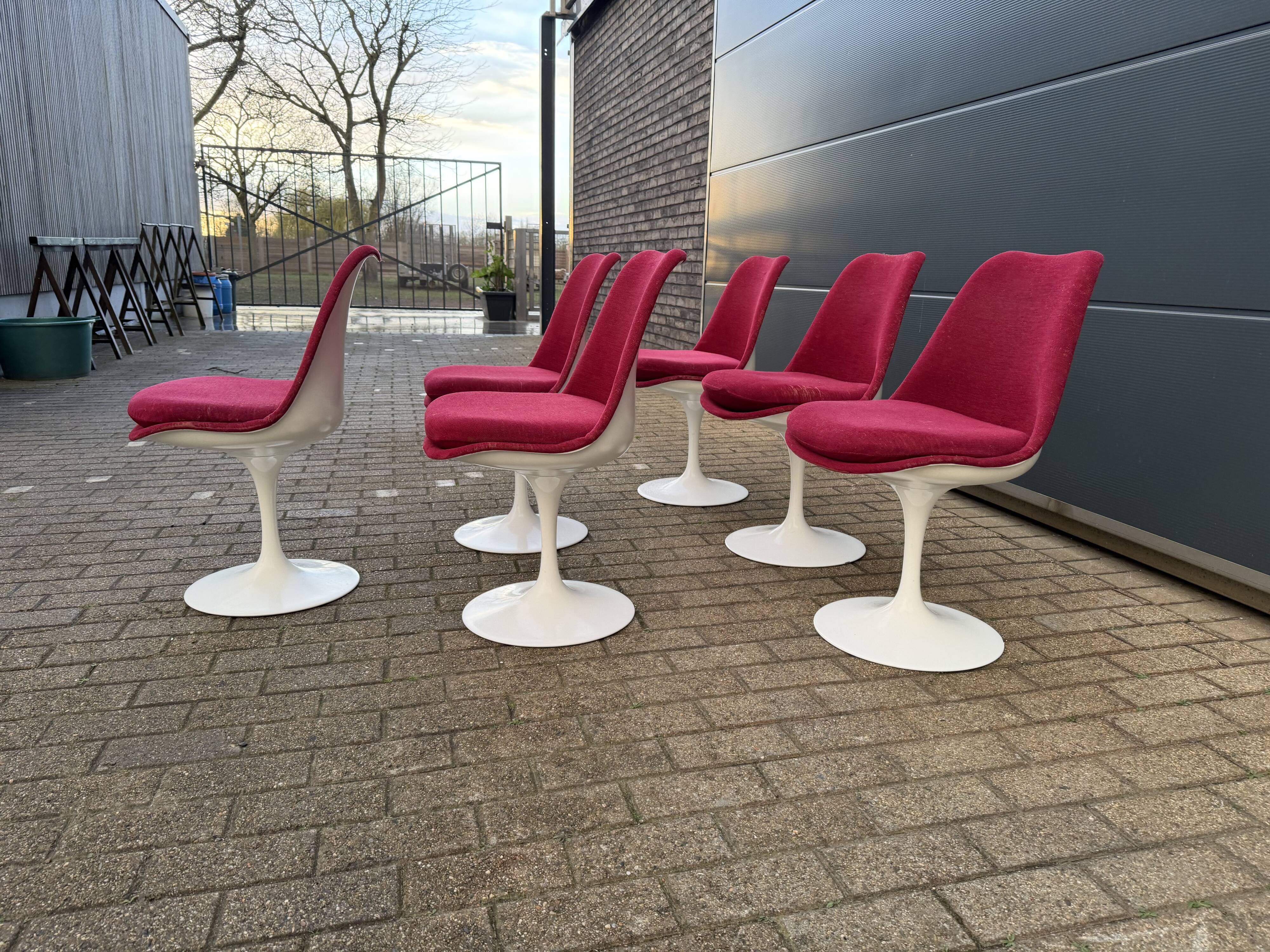 6 original vintage Knoll Tulip chairs by Eero Saarinen