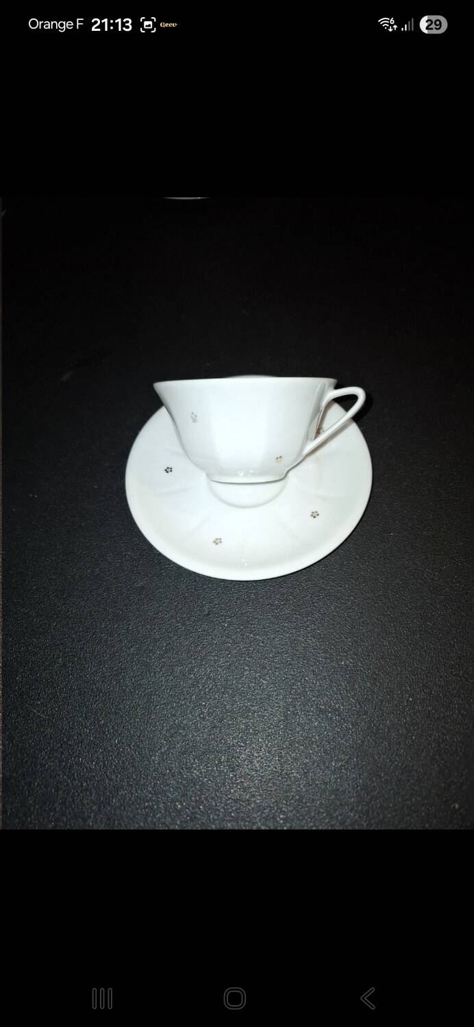 Fine porcelain coffee cups