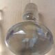 Lot de 6 bouchons de carafe en verre