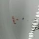 Antique porcelain soup tureen England Minton satsuma 19th century