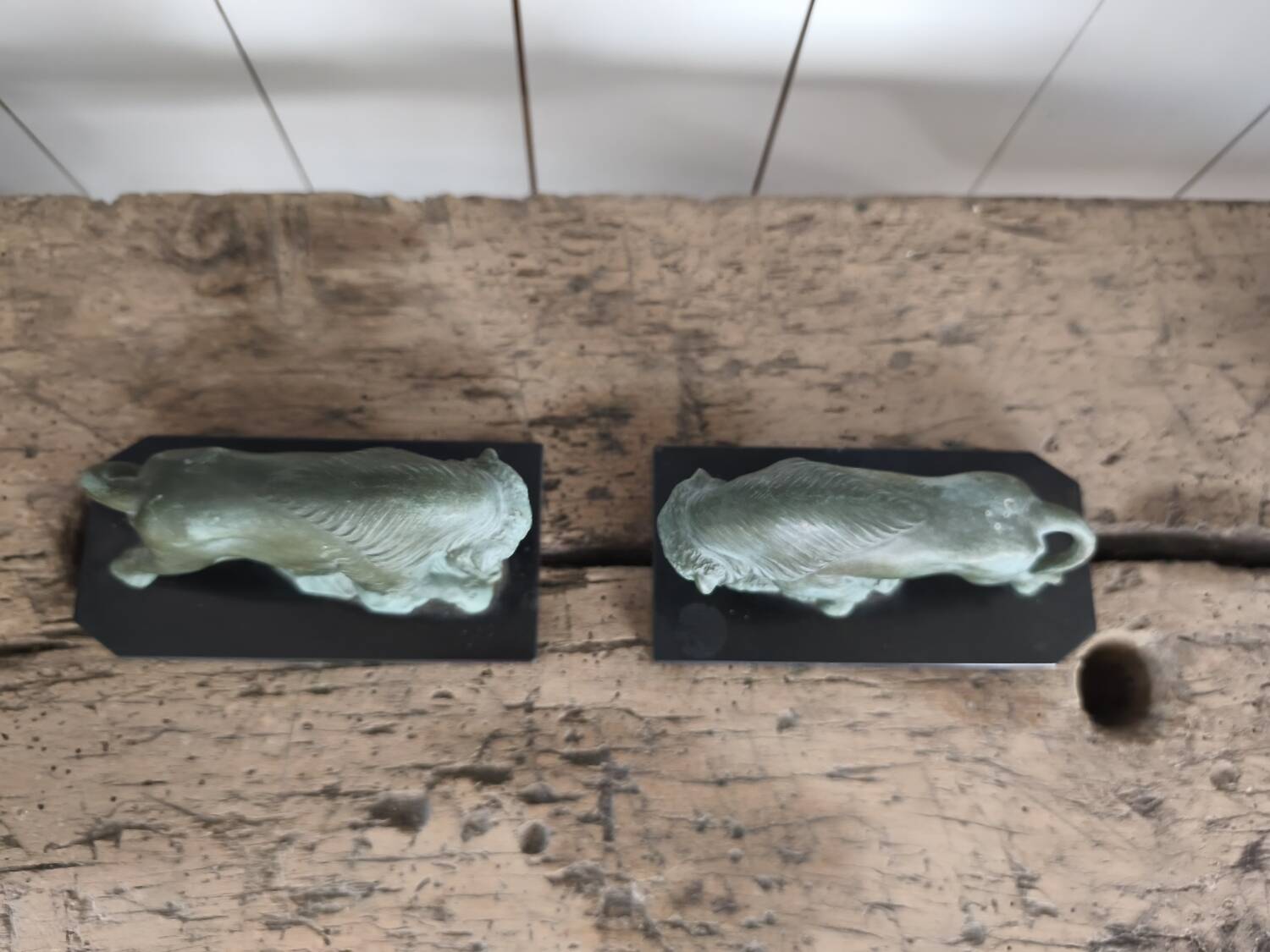 Serre livres animaliers