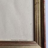 Two orthinological plates framed vintage, after J. & E. Gould (1955)