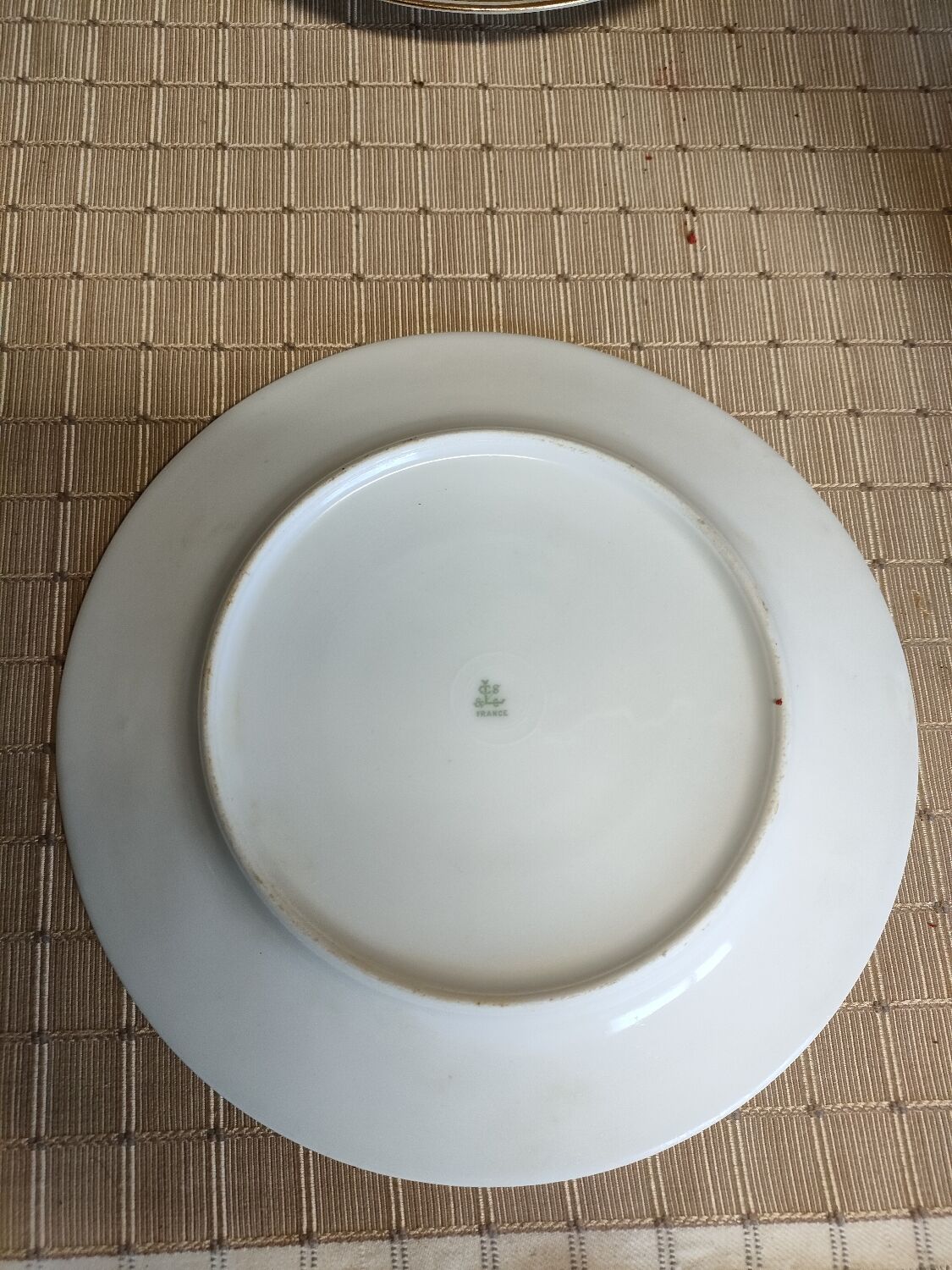 10 assiettes anciennes porcelaine de Limoges