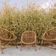 Set de trois fauteuils en rotin.