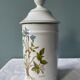 Medicine jar "Pervinca" in Limoges porcelain France