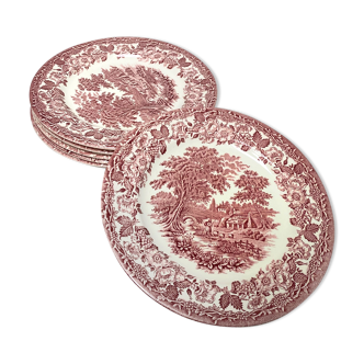 6 pink English plates