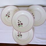 4 vintage flat plates from the Salins factory 210636