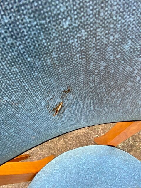 Set of 4 chairs 1950