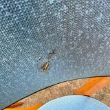 Set of 4 chairs 1950