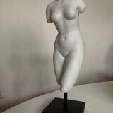 Bust of Aphrodite bathing after Praxiteles neo-classical Greco-Roman