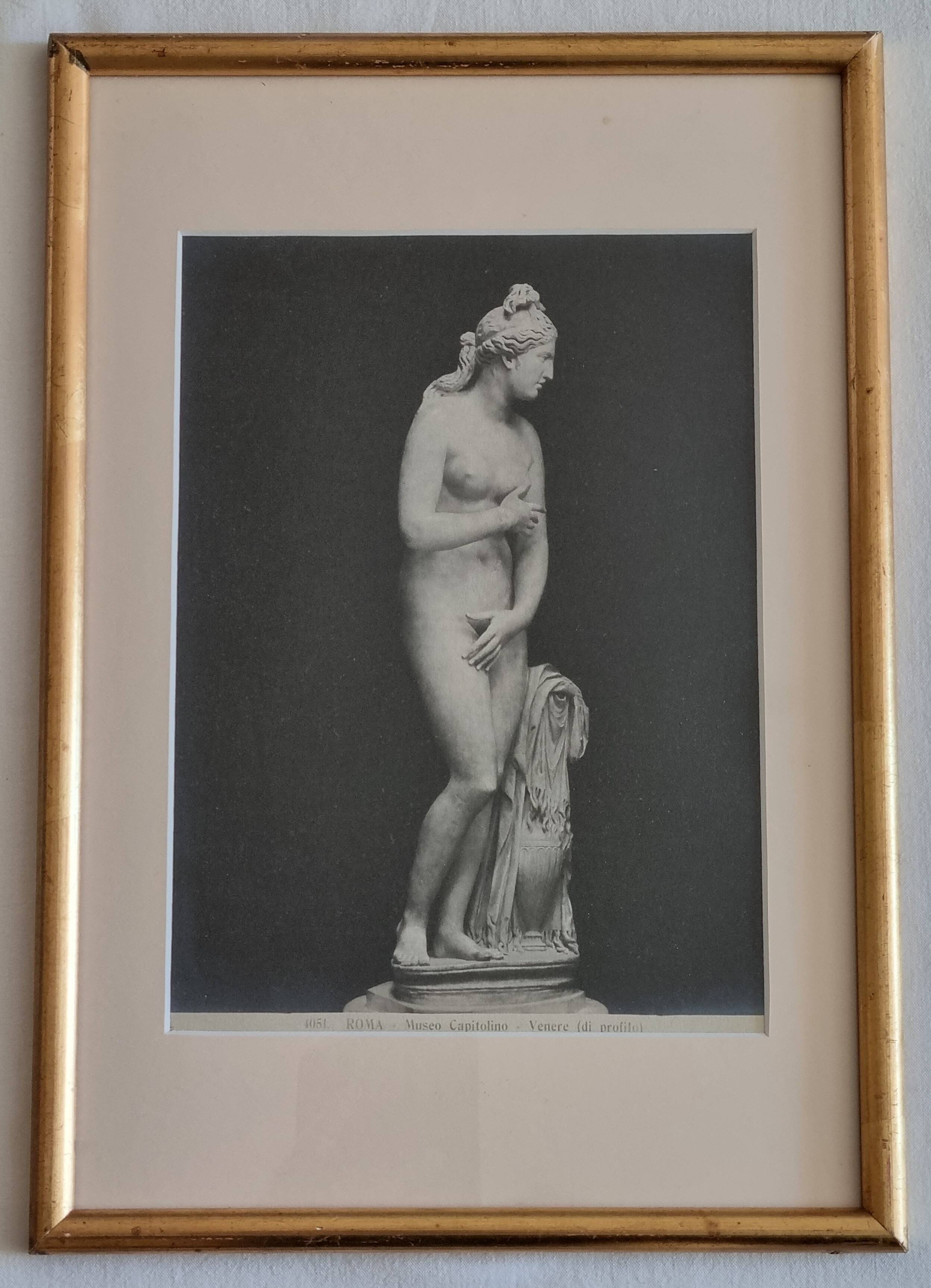 Old photograph of Venus in profile, Capitoline Museum, Rome, 1900, 26x39 cm.