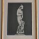 Old photograph of Venus in profile, Capitoline Museum, Rome, 1900, 26x39 cm.