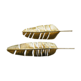 Set of 2 brass feathers