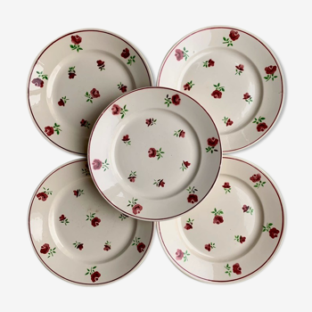 Assiettes plates Badonvillier