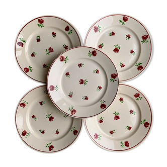 Flat plates Badonvillier