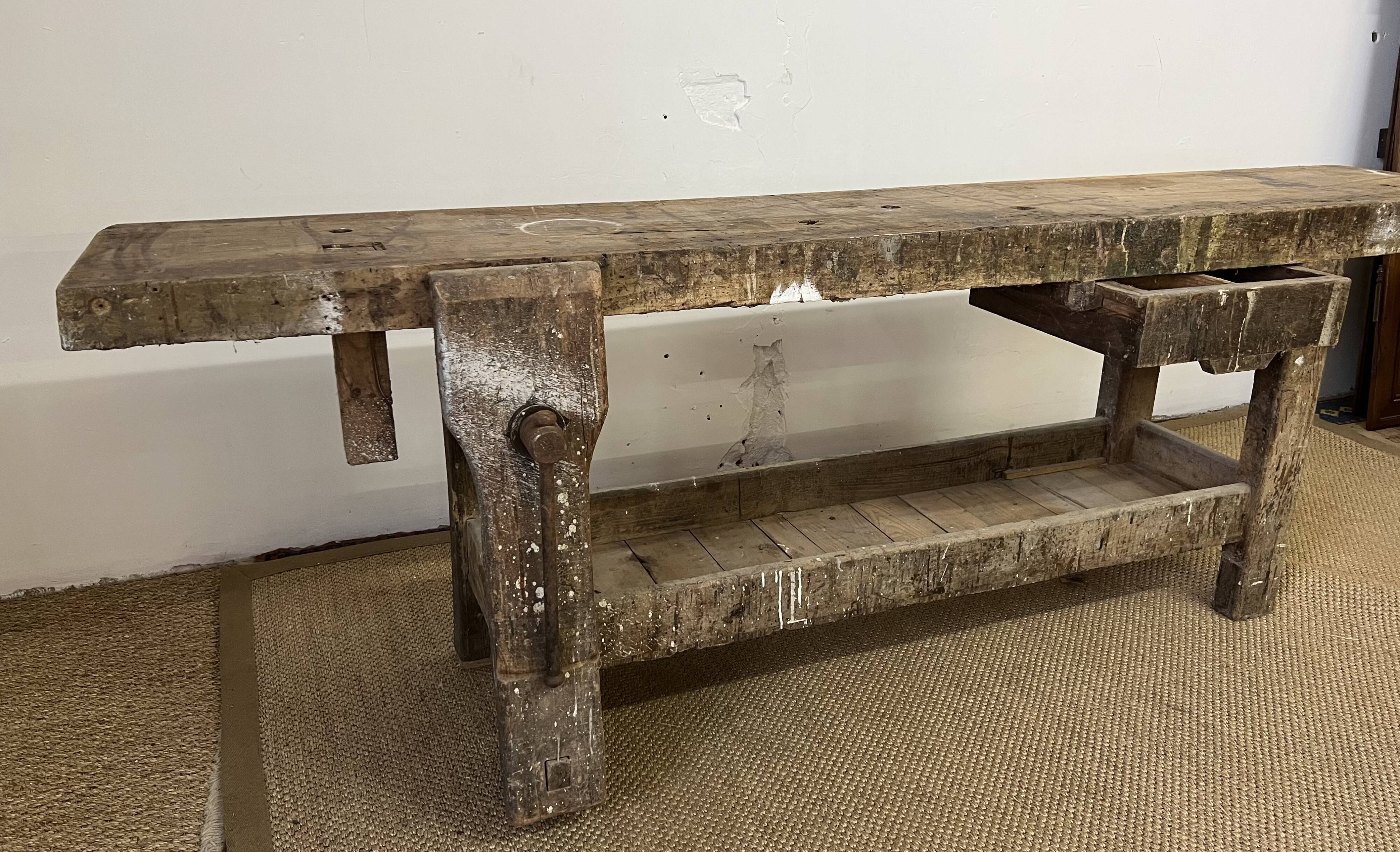 Established in old wood