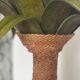 Lamp palm wood and rope