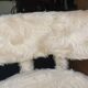 White seventies chair
