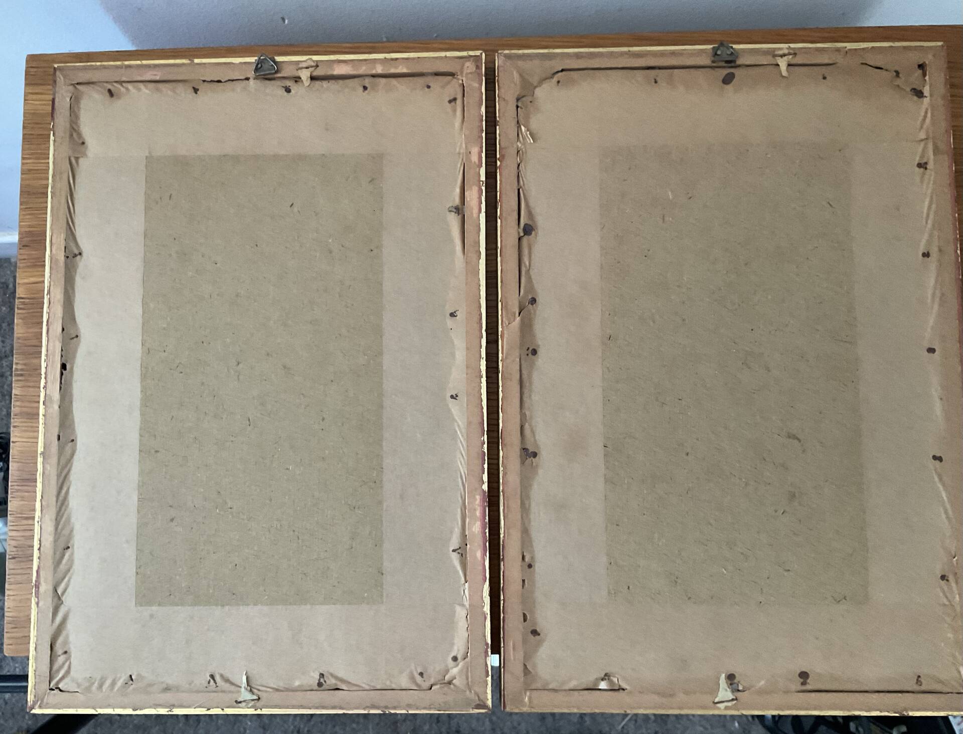 Pair of vintage botanical frames in gilded wood