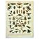 Gravure ancienne 1897 A. Millot - Insectes, entomologie