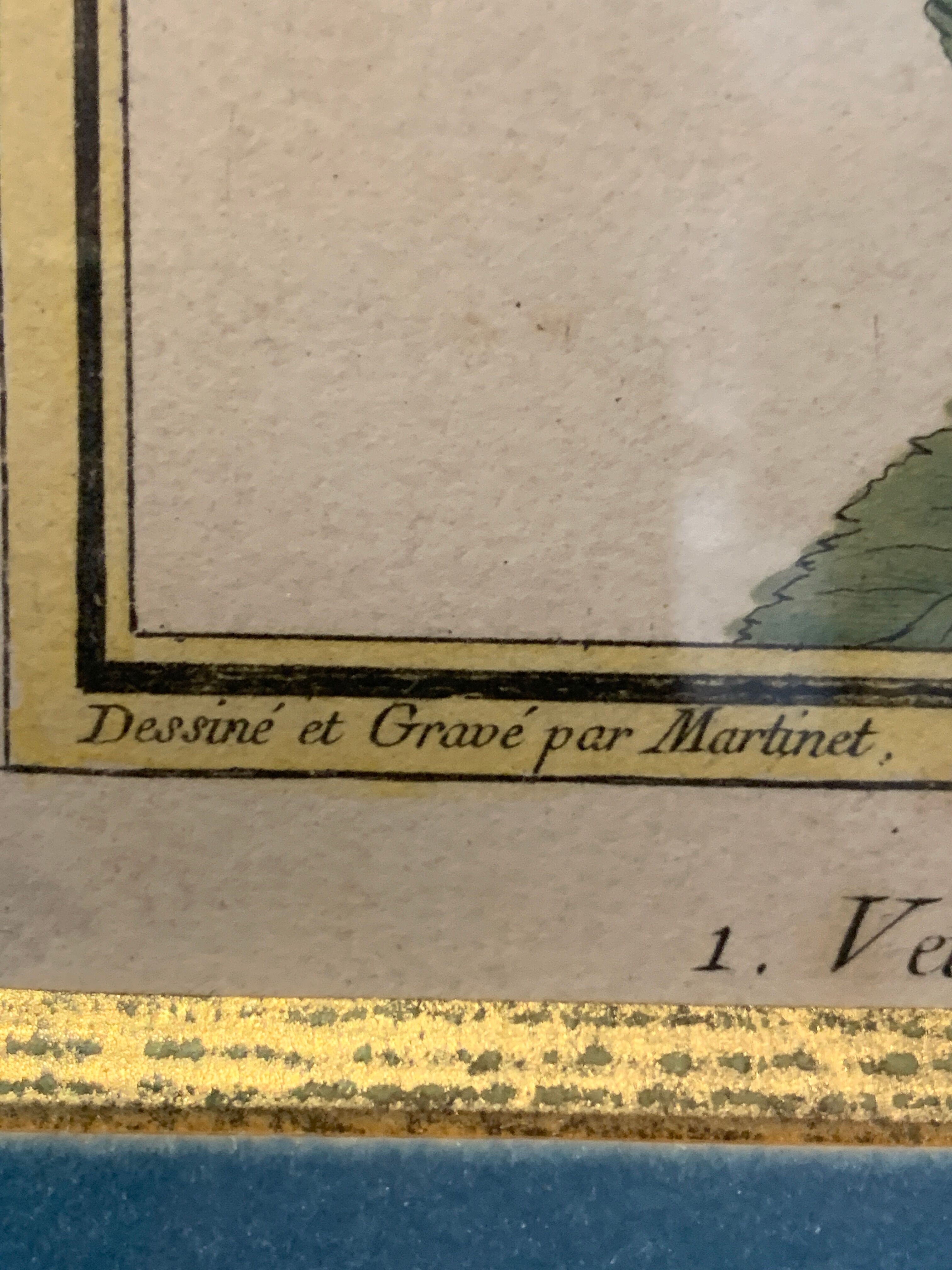 Set of 7 bird engravings