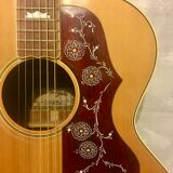 guitar Suzuki j200