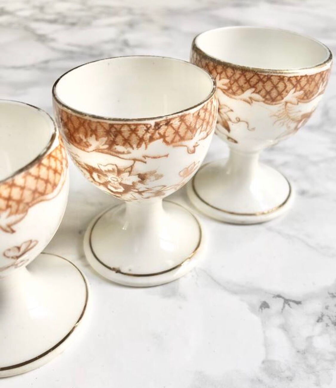 Suite of 4 old porcelain cockroaches decorated with sepia-printed leaves