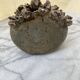 Vase Sculpture en Grès Émaillé – Design Brutiste & Organique