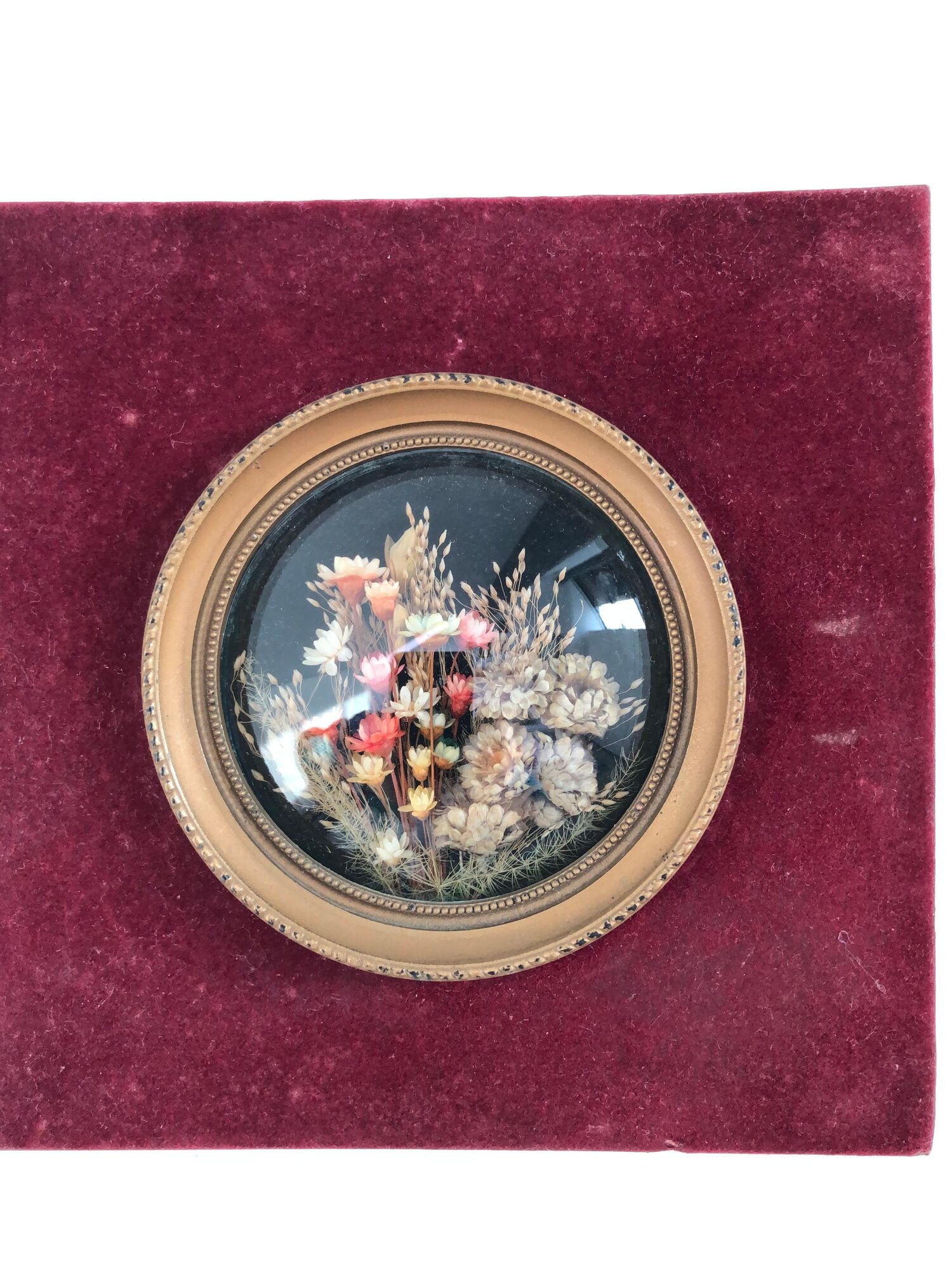 Bouquet of dried flowers - Bordeau velvet frame - bulging glass