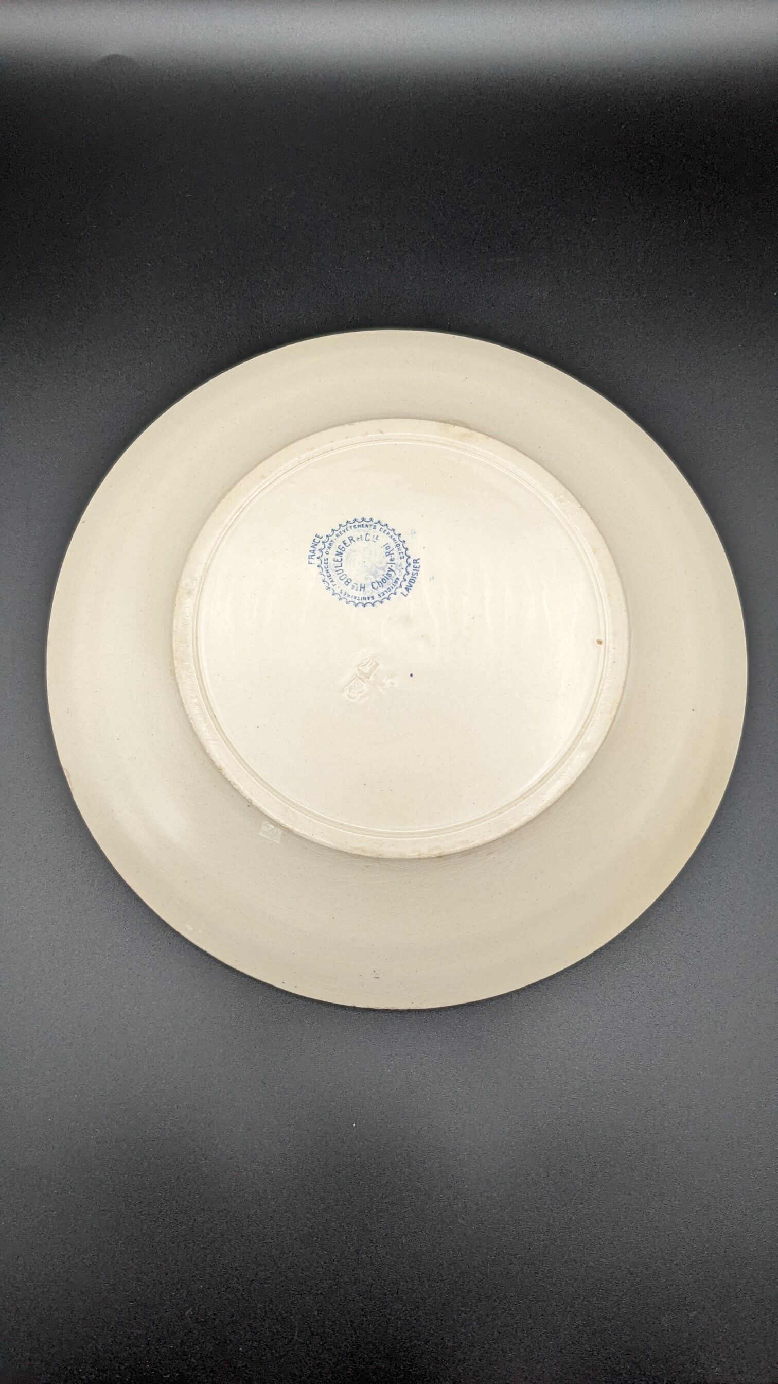 Lot 2 old flat plates boulenger choisy le roi lavoisier