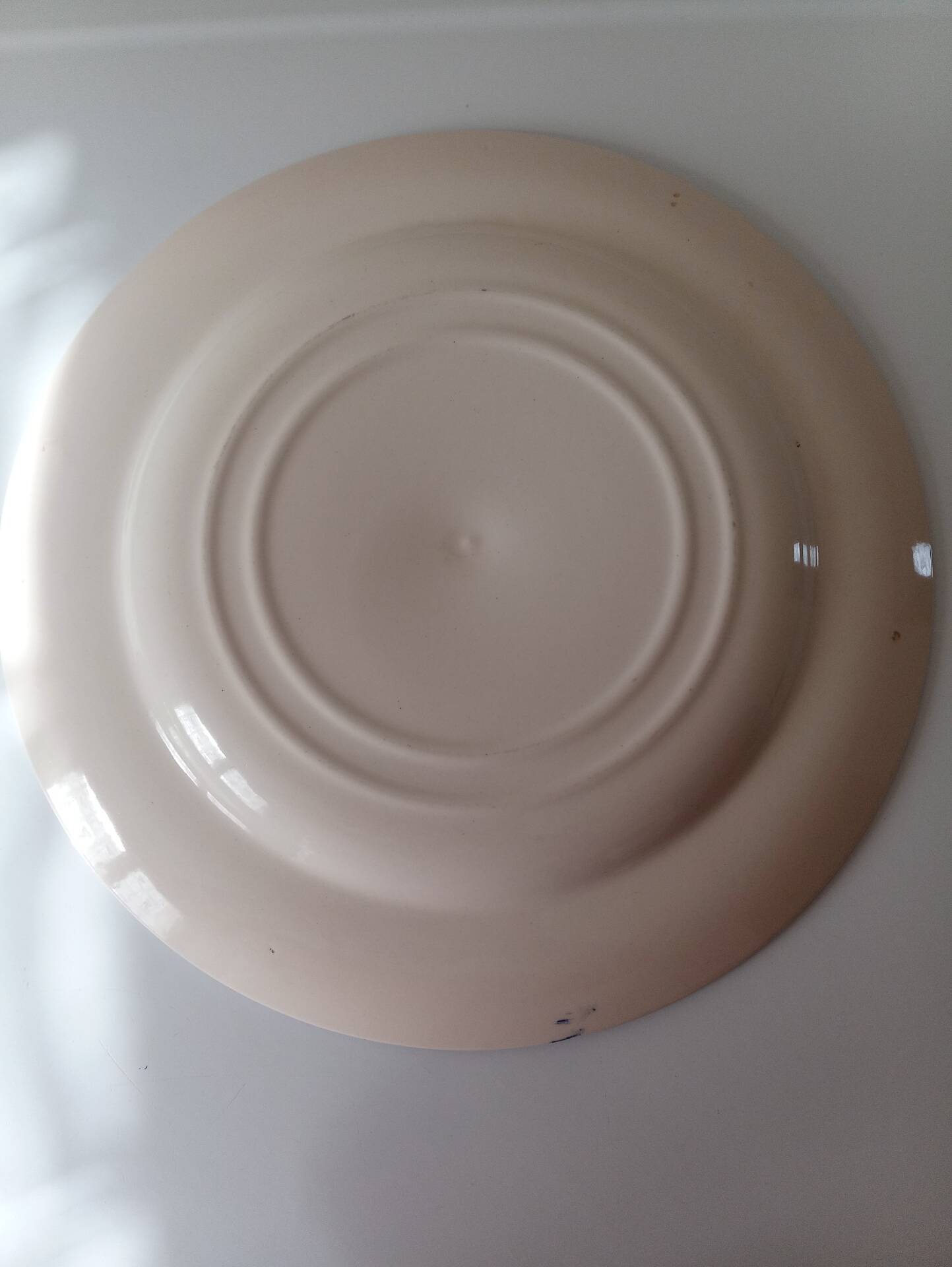 Decorative plate English ironstone
