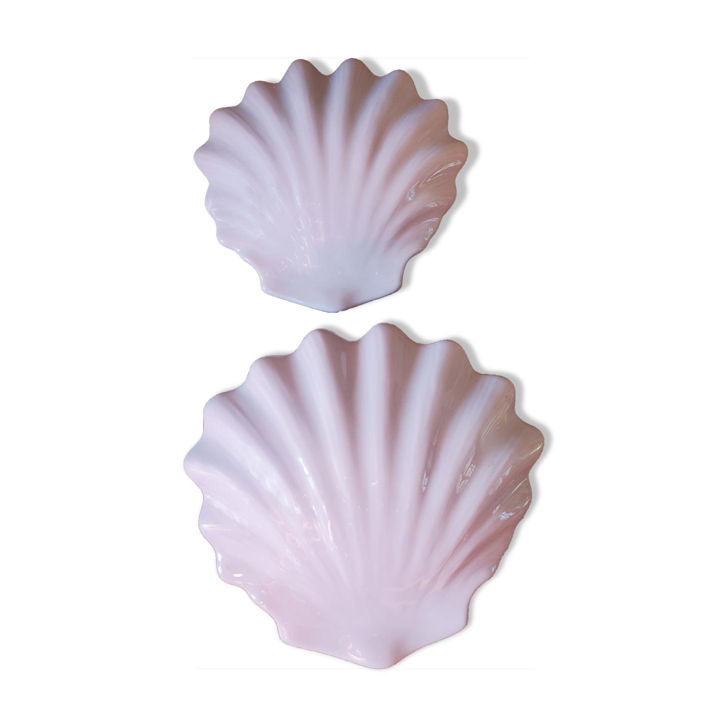 2 shell sconces