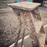 Stepladder painter