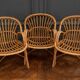 Suite of three rattan armchairs 1960 with original patina