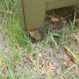 Industrial storage furniture