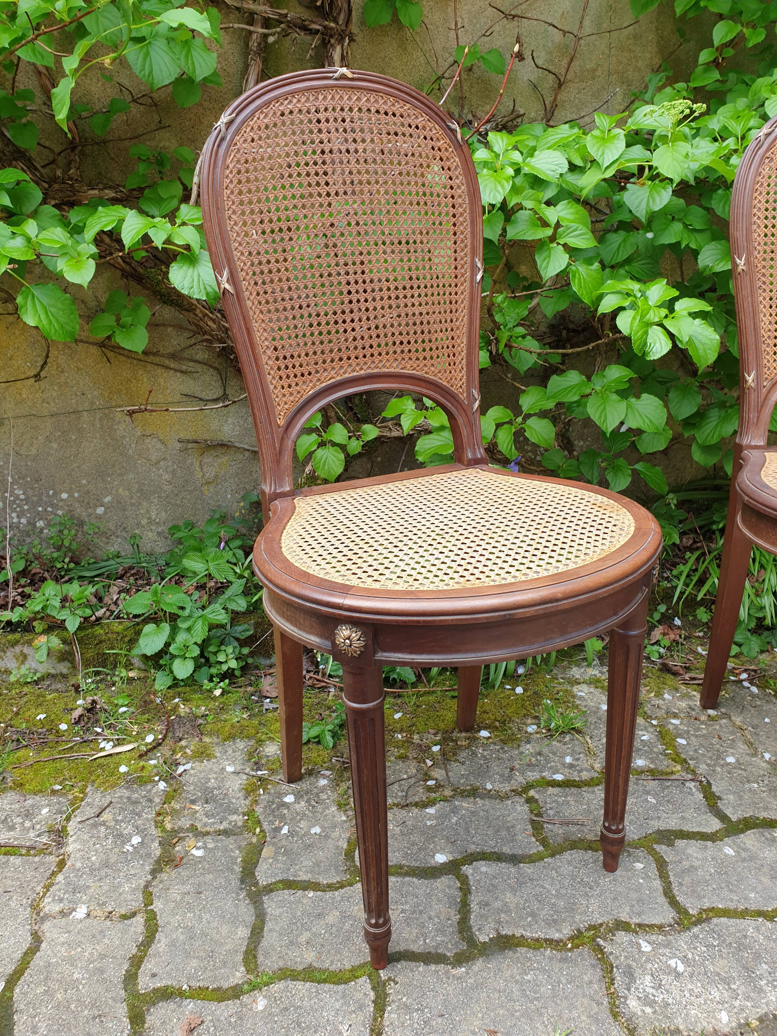 Louis XVI canning chairs