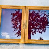 Wooden wall display cabinet with glass door