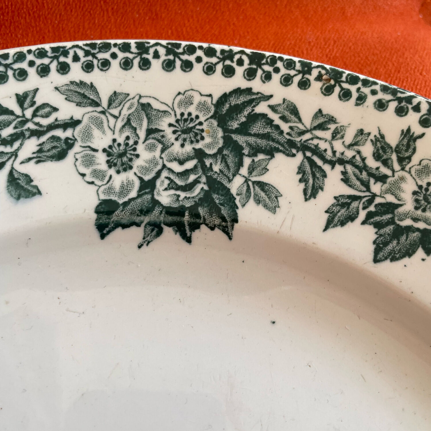 Serving dish in Iron Earth. Debray model institution Guadeloupe