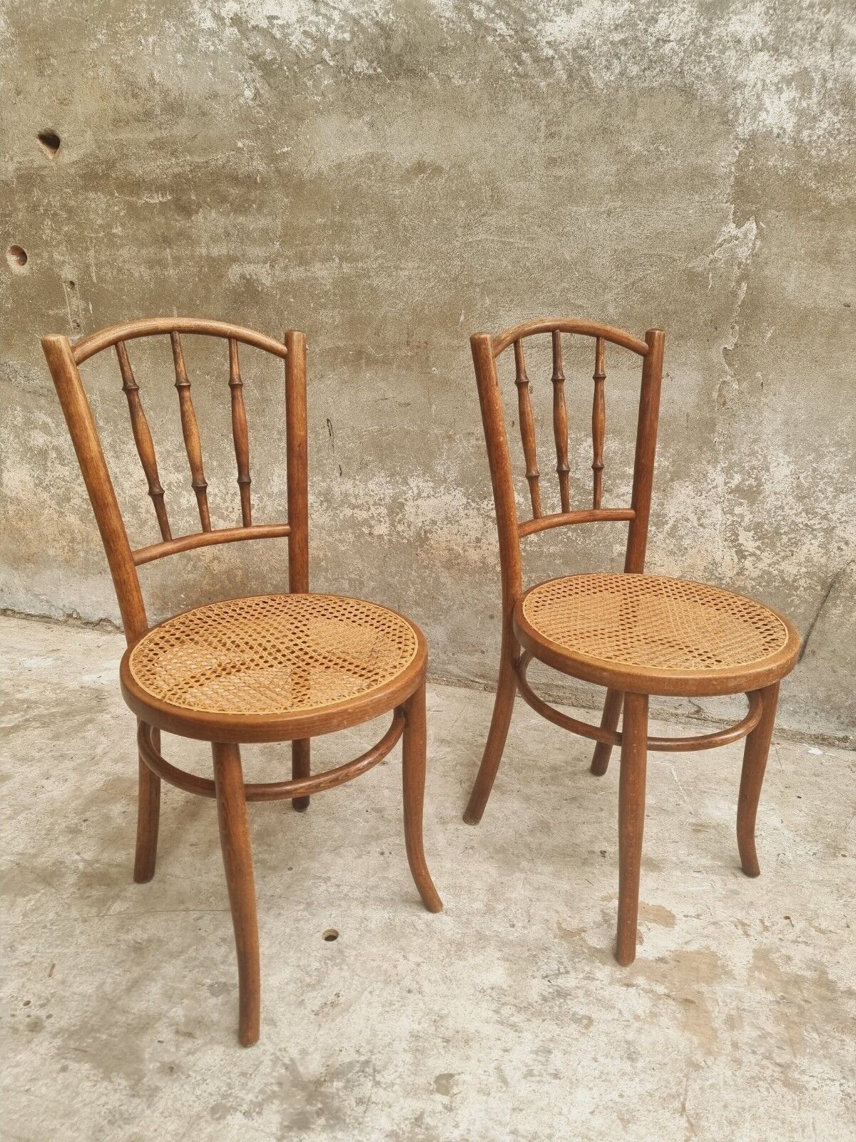 Antique chairs by Fischel