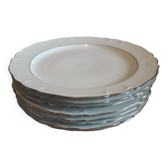 8 Porcelain plates