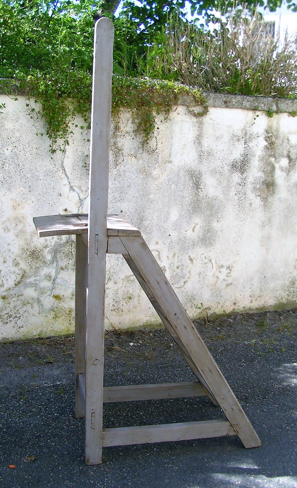 Library ladder