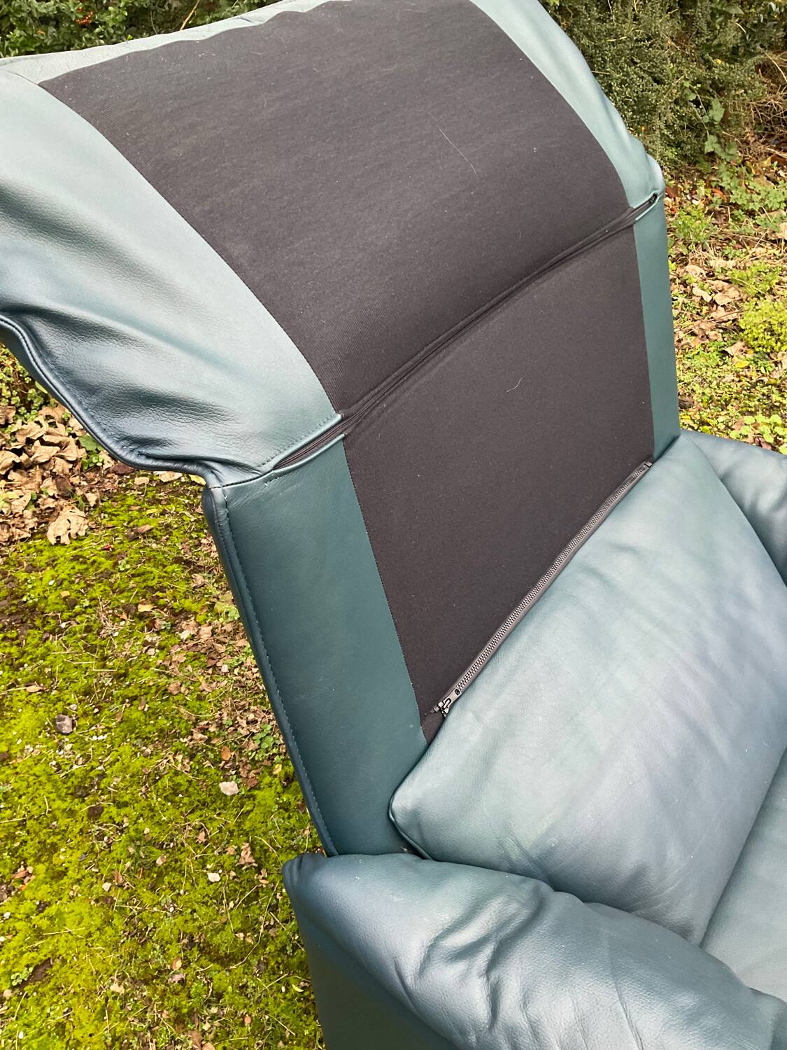 Fauteuil Bora Bora pour Leolux par Axel Enthoven