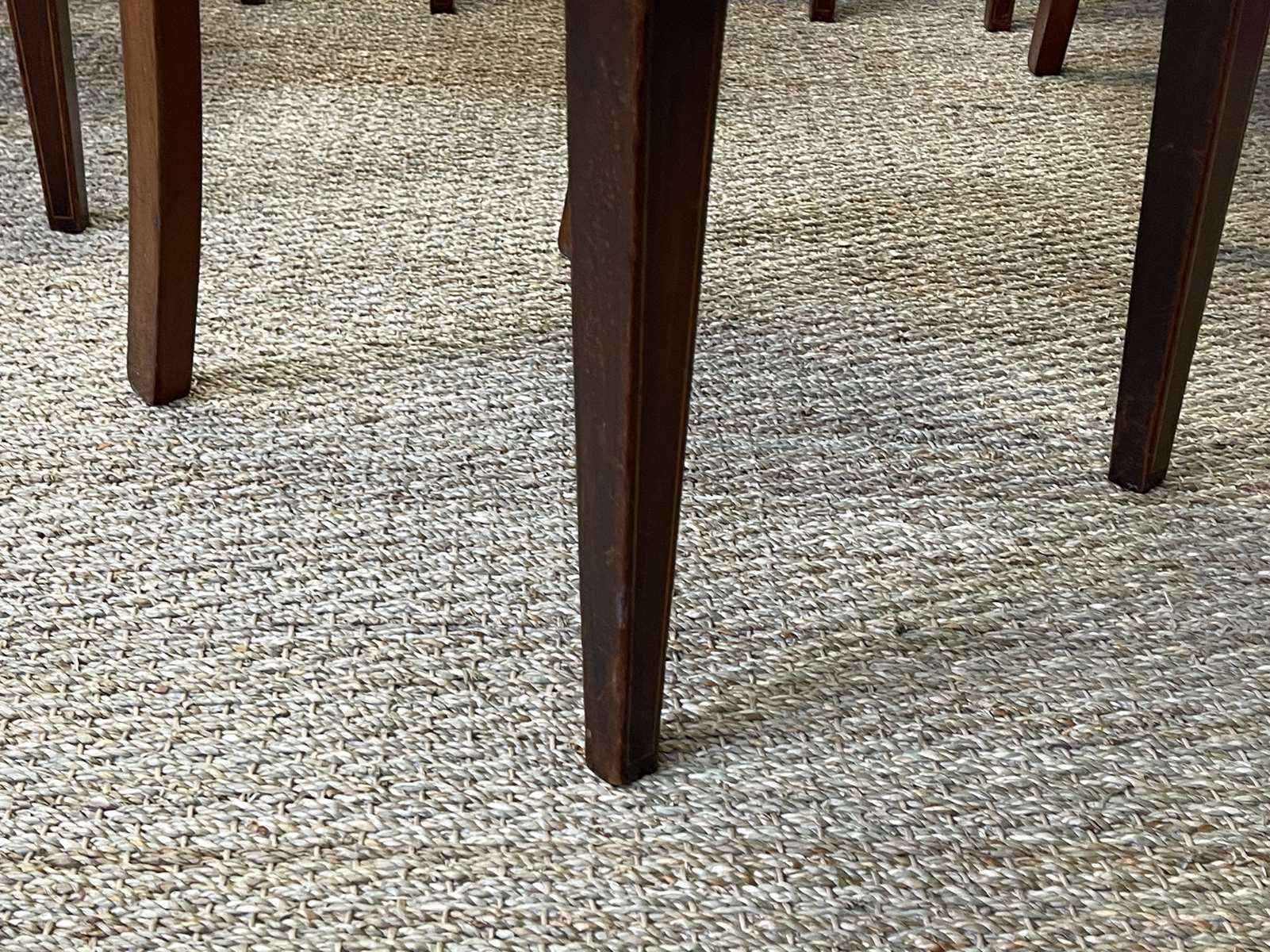 Suite of 12 English chairs nineteenth in mahogany and imitation leather